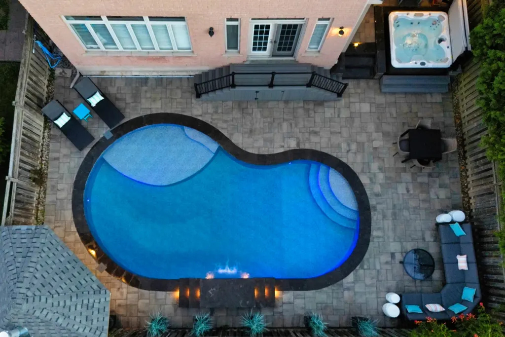 Completed Backyard and Swimming pool renovation