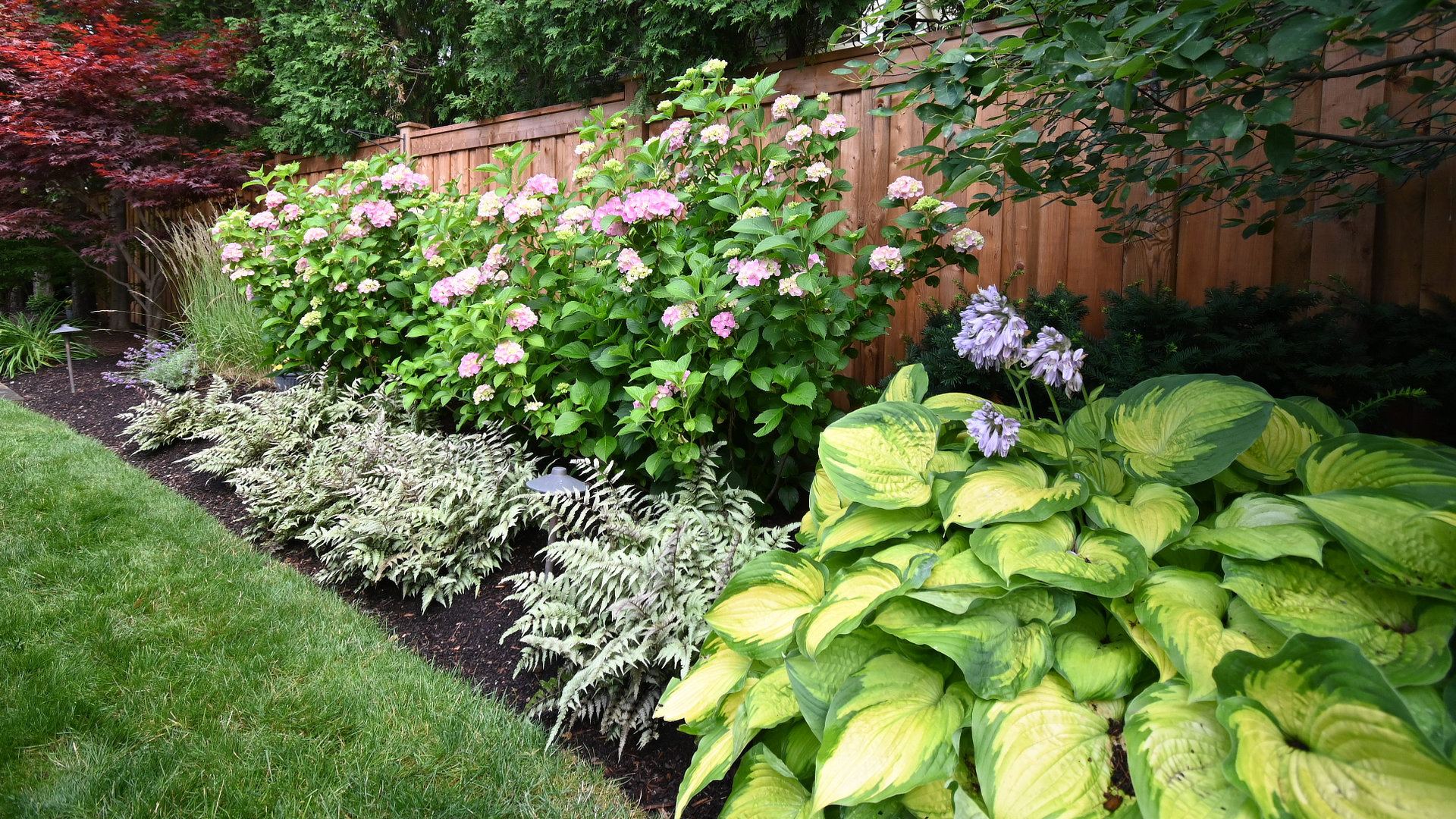 Time to Weed, Edge and Cultivate Your Garden