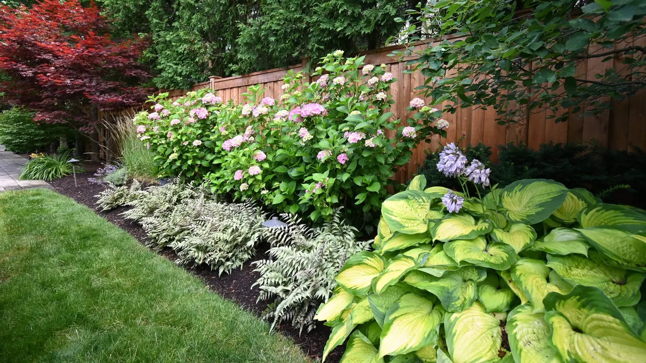 Creative backyard garden ideas